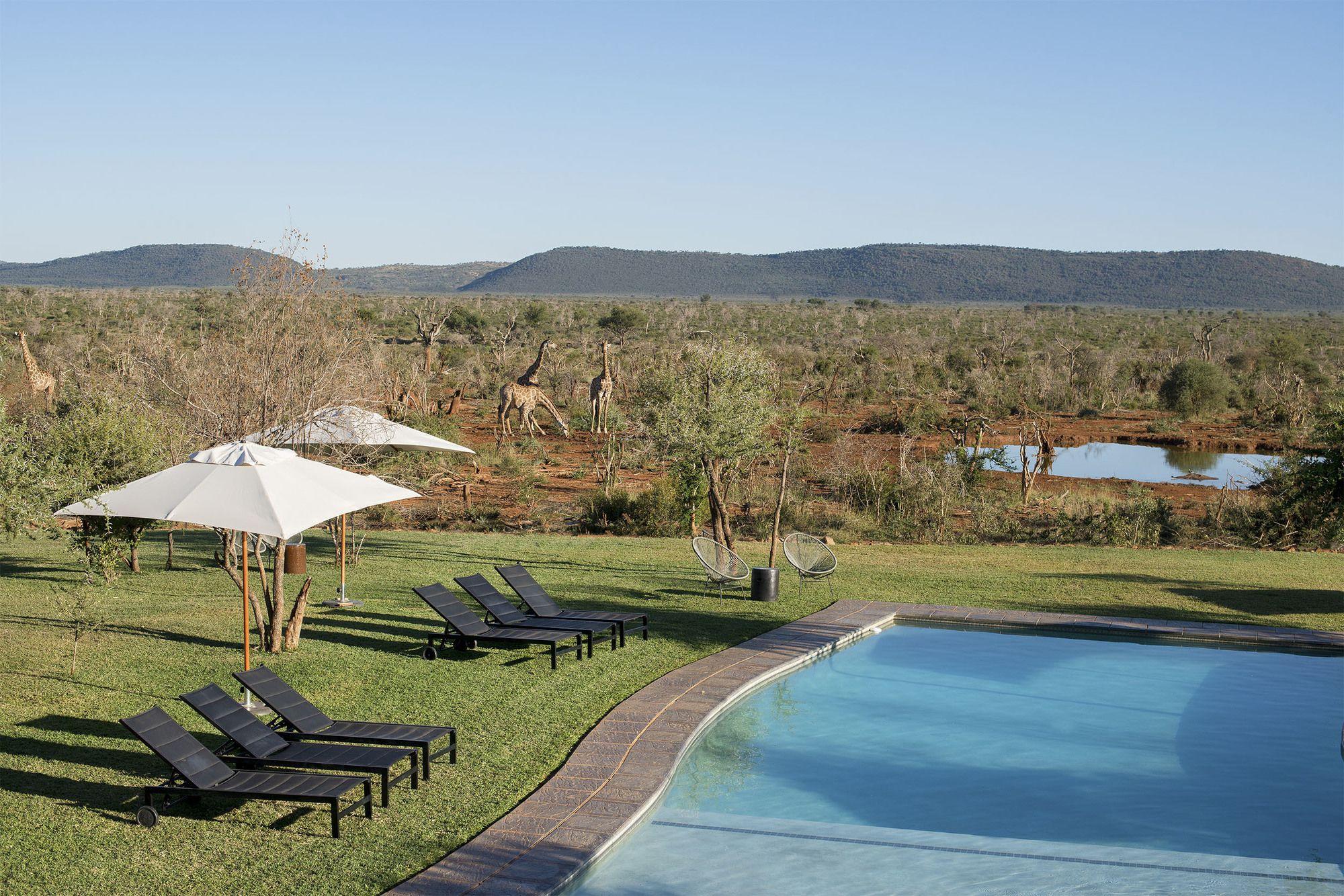 Madikwe Safari Lodge Мадікве-Ґейм-Резерв Екстер'єр фото