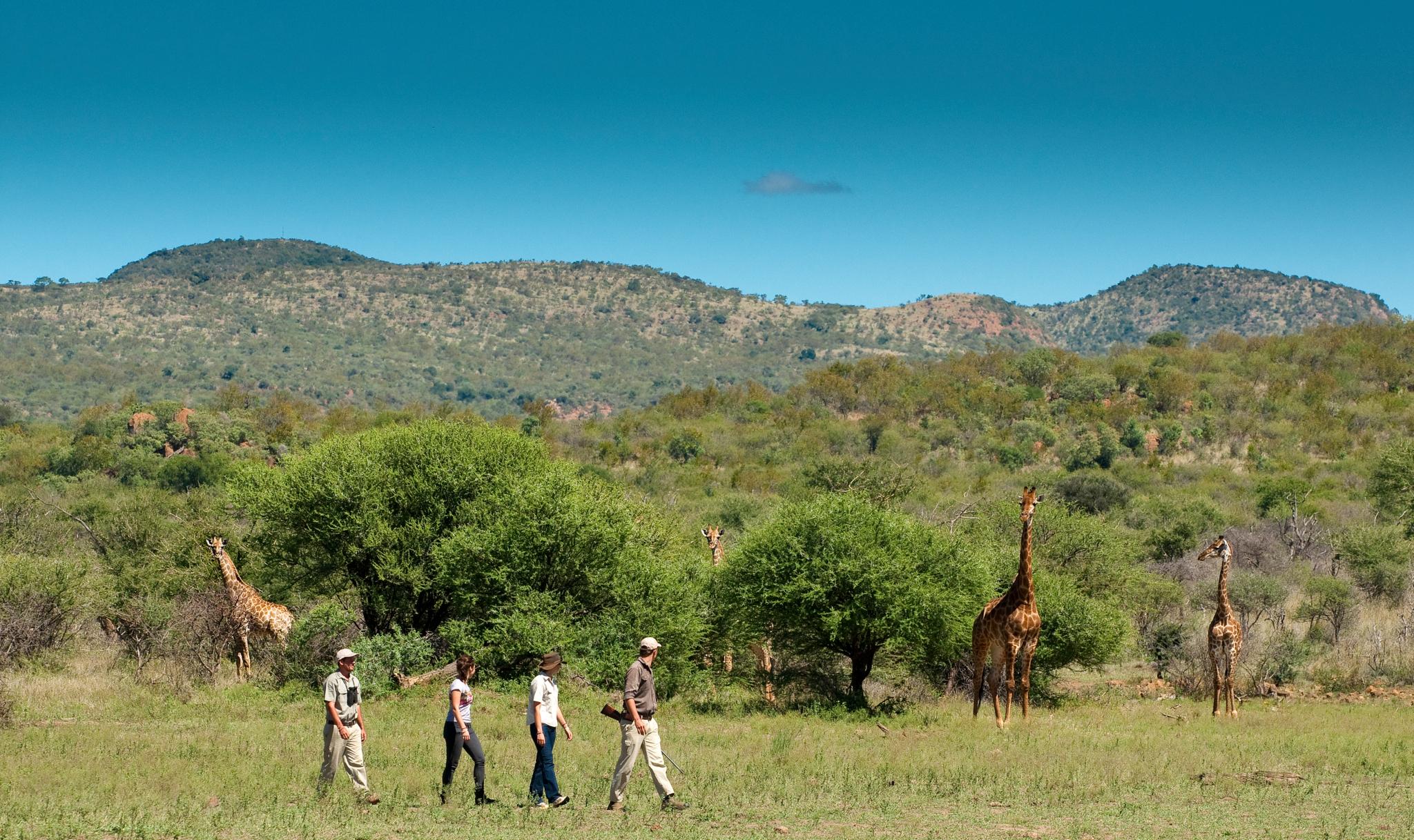 Madikwe Safari Lodge Мадікве-Ґейм-Резерв Екстер'єр фото